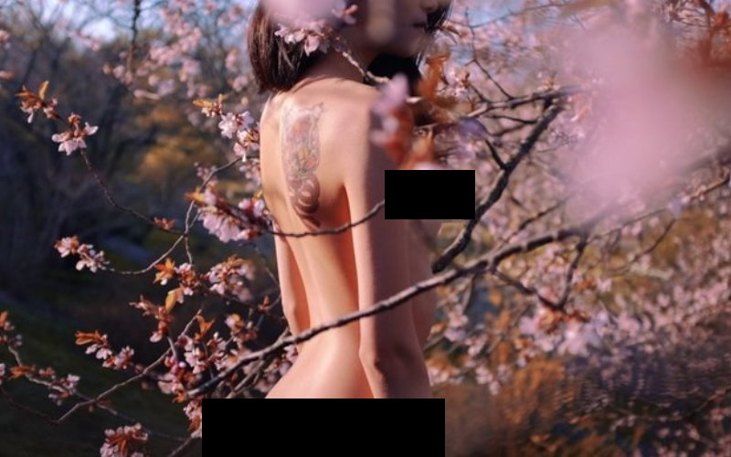 這是藝術  賞櫻兼「賞陰」超強大攝影找正妹拍裸照：我用讚嘆的心看完全部